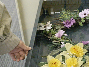Somebody looking at flowers